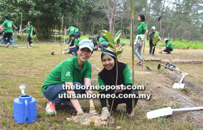 Naim extends quest for greener environment