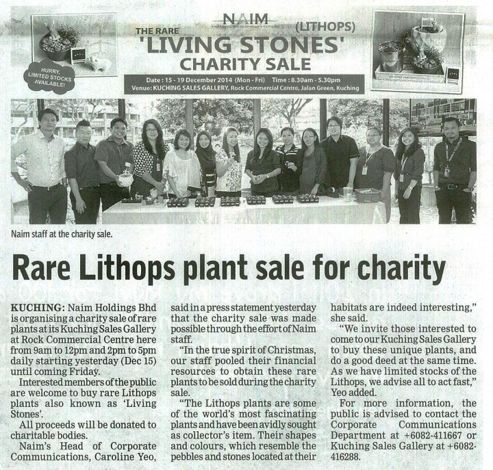Rare Lithops plant sale for charity