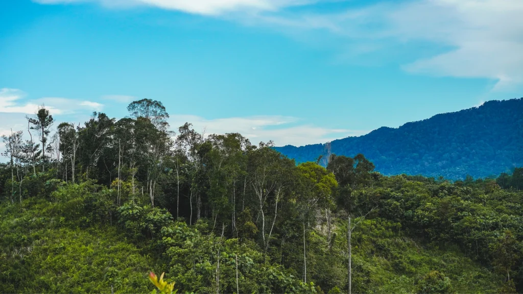 Safeguarding Environmental Resources